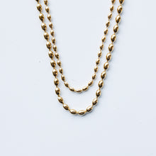 Load image into Gallery viewer, Arroz de Oro